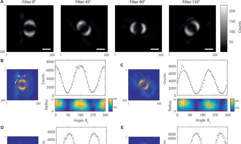 The first image of quantum entanglement: four ring-shaped images of entangled photons through phase filters at 0, 45, 90 and 135 degrees