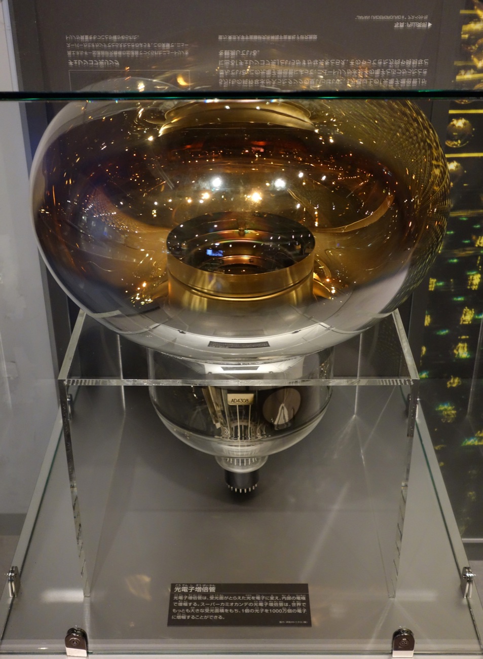 A golden 20-inch photomultiplier tube from the Super-Kamiokande neutrino detector, displayed in a glass museum case